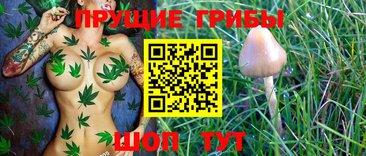 Белорецк  Галлюциногенные грибы MAGIC MUSHROOMS  Вход с VPN 